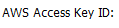 1. AWS Access Key